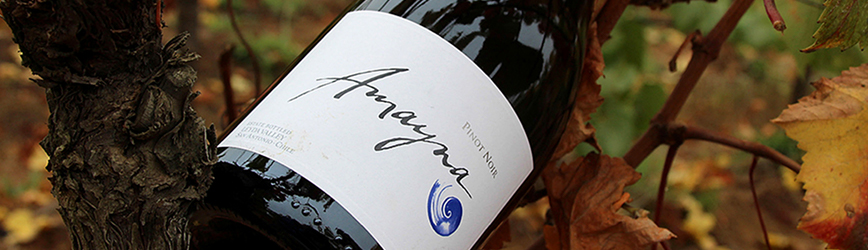 Amayna Experience | WINE & DINE