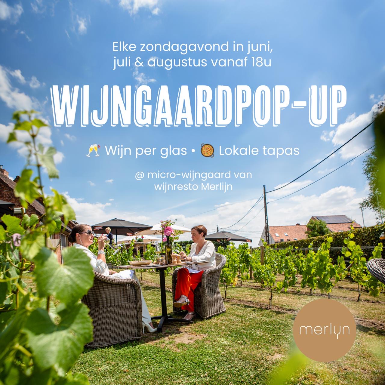 Wijngaardpop-up